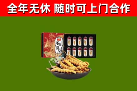 息烽县回收冬虫夏草价格